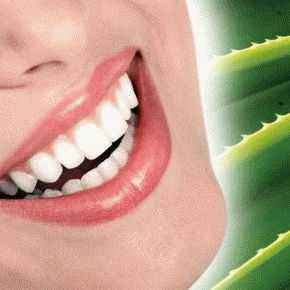 Aloe Vera a fogászatban, aloe vera - egészséget mindenkinek!