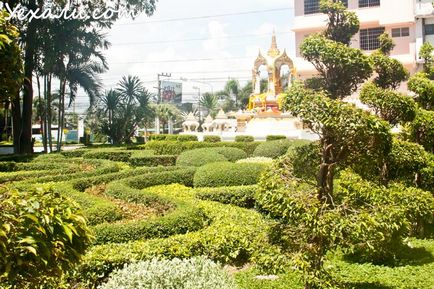 Bangkok Pattaya spital tip pe tratamentul otitei