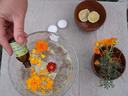 Tagetes - ültetés és gondozás nyílt terepen tavasszal és ősszel, betegség, video (a földön) Tagetes - ültetés és gondozás nyílt terepen tavasszal és ősszel, betegség, videó