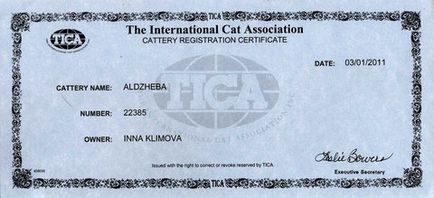 Bengáli macskák aldzheba aldzheba óvoda - aldzheba jimdo-oldalt! (Macska) Bengáli macskák aldzheba aldzheba óvoda - aldzheba jimdo-oldalt!
