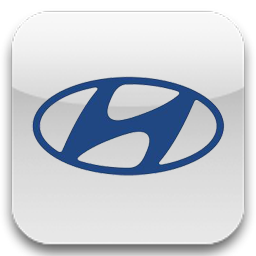Rezervor de benzină Hyundai Sonata 5 Tagas, repararea rezervoarelor de benzină