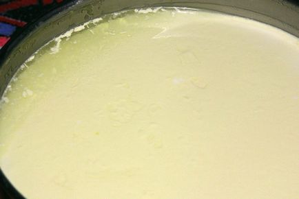 Iaurt bulgar (piure de kiselo) și brânză de vaci de casă
