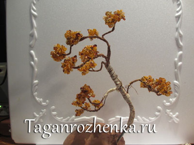 Bonsai gyöngy és borostyán (vége huzal kifeszített) Bonsai gyöngyök és borostyán