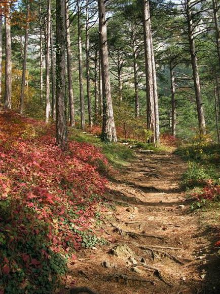 Traseul Botkin în descrierea din Crimeea a traseului, lungime, fotografie