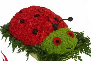 Ladybug, blog de florar și decorator