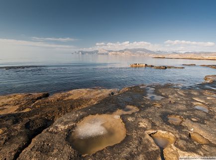 Cape kapsel în bibanul de Crișă