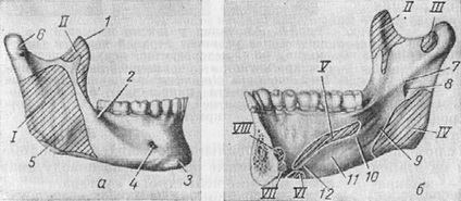 Cladiri inferioare ale structurii inferioare