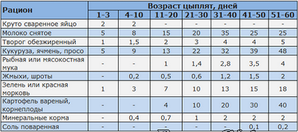 Чим годувати курчат, якщо немає спеціальних кормів, перший сайт птахівників-любителів Хабаровська