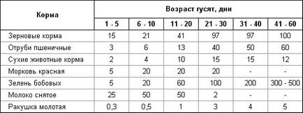 Чим годують гусей в домашніх умовах взимку і влітку відео