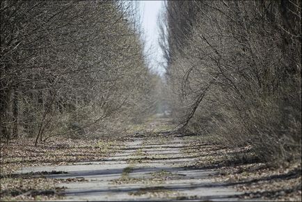 Cernobîl 30 de ani mai târziu 23 de fotografii din orașul-fantomă Pripyat, prins în zona de excludere