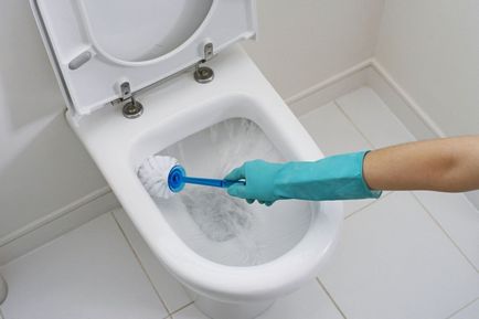 Curățați regulile simple de baie și toaletă