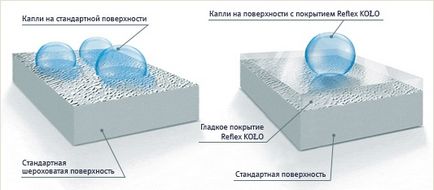 Curățați regulile simple de baie și toaletă