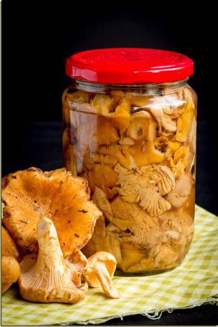 Ce sa faci cu ciupercile de chanterelles simple retete de gatit