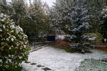 Mi köze őszi lehullott levelek (köze lehullott őszi) Mi köze őszi lehullott levelek