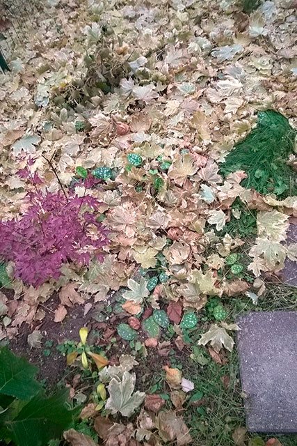 Mi köze őszi lehullott levelek