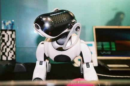 Ce poate un robot japonez asimo
