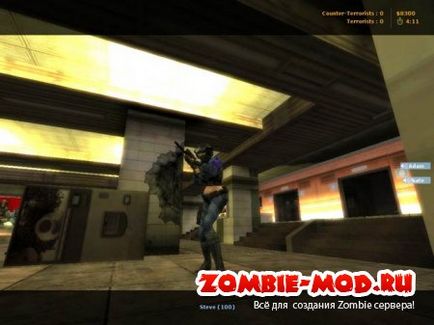 Counter strike point blank mod, найбільший ігровий портал