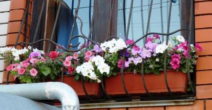 Квітучий балкон своїми руками - ярмарок майстрів - ручна робота, handmade