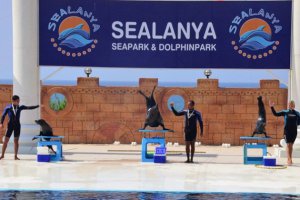 Дельфінарії sealanya в Аланьї, multivilla