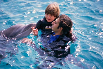 Дельфінарій в Аланії як дістатися до дельфінарію, ціна