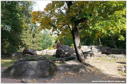 Arboretum Sofiyivka