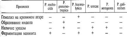 Diagnosticul, tratamentul, prevenirea și eliminarea pasteurelozei