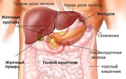 Дієта після видалення жовчного міхура меню на перші дні і на тиждень, рецепти страв