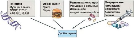 Dieta pentru disbioză intestinală în meniurile pentru adulți timp de o săptămână