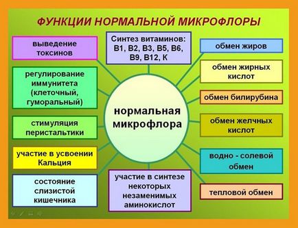 Дієта при дисбактеріозі кишечника у дорослих меню на тиждень