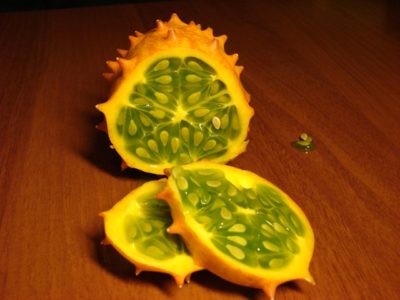 Melon kolhoz, és más magas hozamú fajták