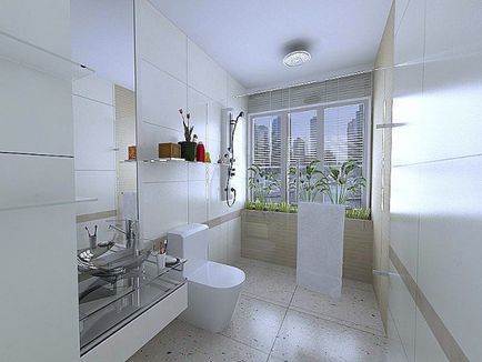 Design baie și toaletă în recomandările de profesioniști în reparații și fotografie