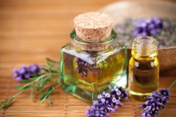 Bună magie de lavanda, desert fericit