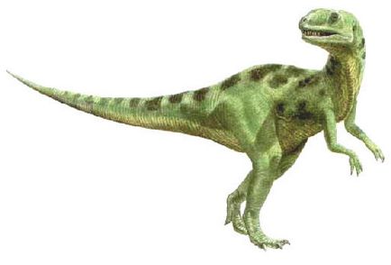 Доісторичні тварини динозаври опису, реферати