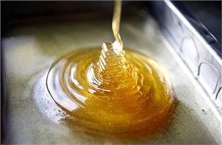 Amennyiben édességet méz - méz titkok