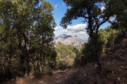 Екскурзия до древния град Termessos (посоките на движение, ревюта, описания, снимки)