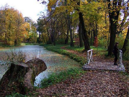 Excursie la poiana limpede