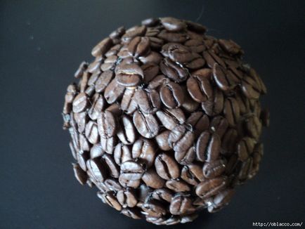 Flori de copaci de cafea prin mâinile proprii