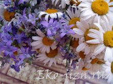 Floroterapiya - mi ez (floroterapiya) Floroterapiya - mi ez