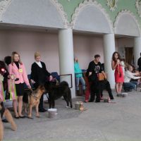 Photoreport din Show Dog din Tver DK - Sintetic