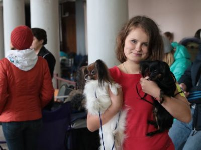 Photoreport din Show Dog din Tver DK - Sintetic