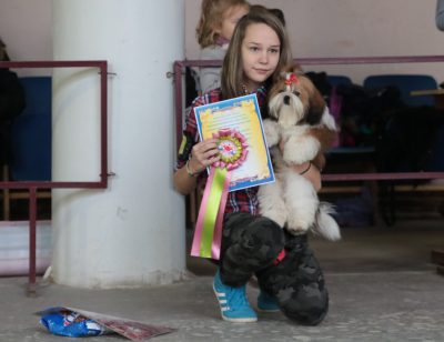 Photoreport din Show Dog din Tver DK - Sintetic