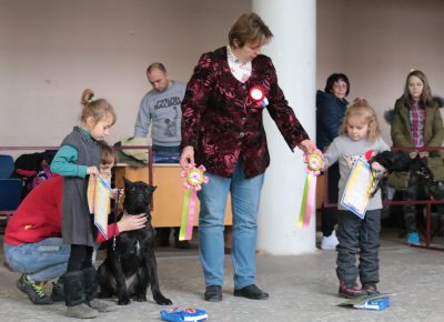 Photo jelentés a kutyakiállításon Tver dk - Szintetikus