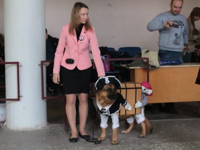 Photoreport din Show Dog din Tver DK - Sintetic