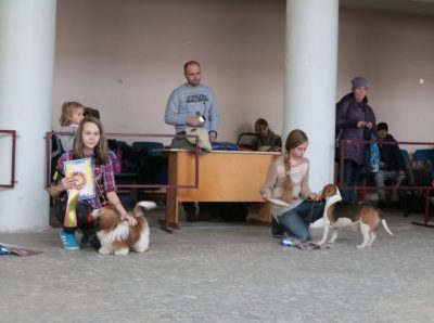 Photoreport din Show Dog din Tver DK - Sintetic