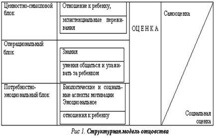 Функции и задачи на родителите на етапа на юношеството и младостта - психология