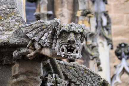 Gargoyles fotografie, poze, descrierea creaturilor