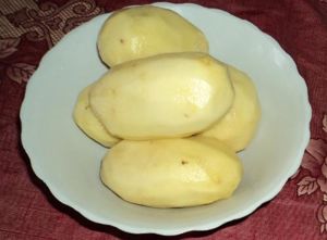 A harmonika a burgonya (burgonya) A harmonika burgonya