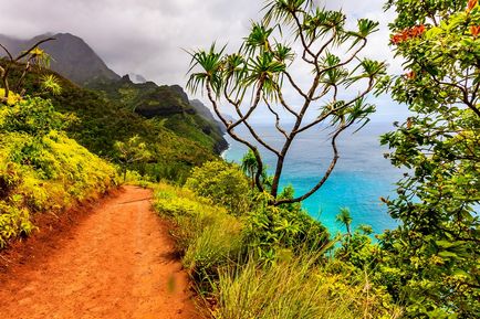 Hawaii próbababa, hogyan kell kiválasztani a szigeten