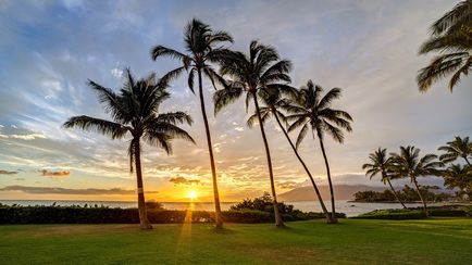 Hawaii próbababa, hogyan kell kiválasztani a szigeten