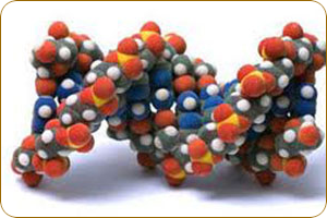 Predispoziția genetică la bolile dentare